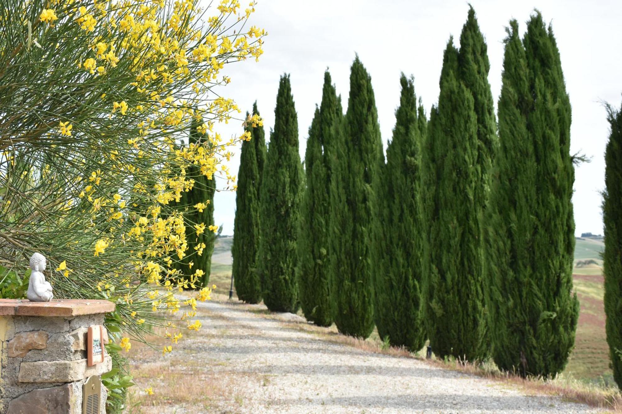 Podere Le Volpaie, Volterra, Tuscany 蒙泰卡蒂尼瓦尔迪切奇纳 外观 照片